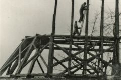036