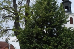20190616_092324